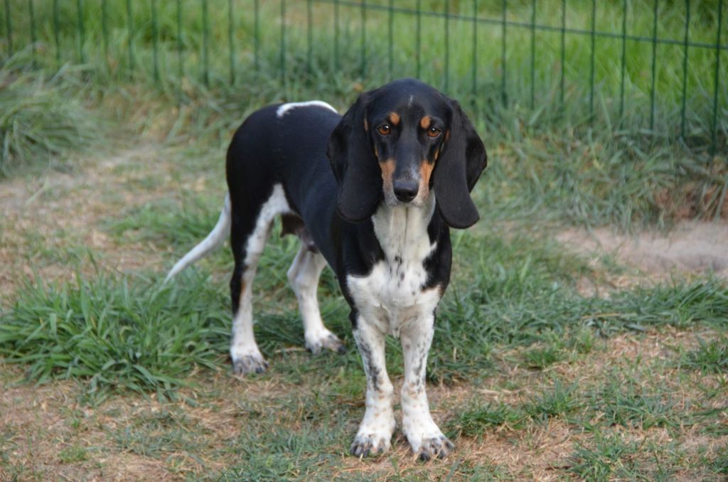 CH. Merveille des Varennes du Val de Loire