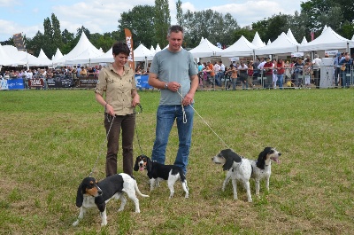 des Varennes du Val de Loire - GAME FAIR à CHAMBORD (41) Samedi 23 juin 2012