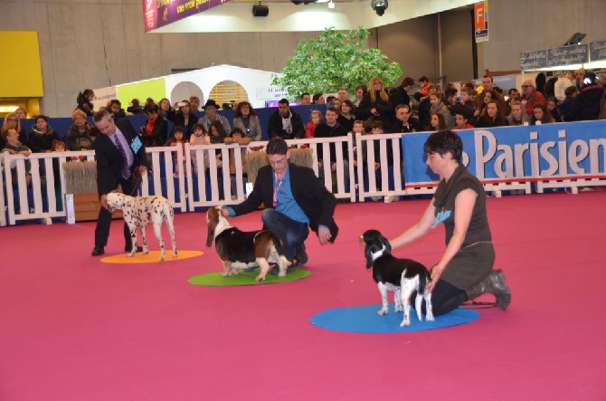 des Varennes du Val de Loire - SALON AGRICOLE 2014