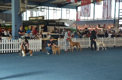 des Varennes du Val de Loire - Résultats Exposition de Saarbrücken