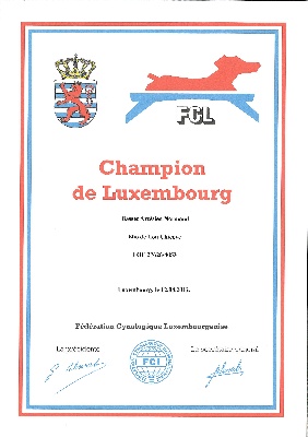 des Varennes du Val de Loire - ELIO, CHAMPION DU LUXEMBOURG