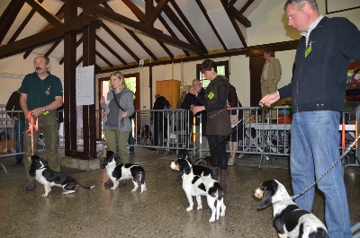 des Varennes du Val de Loire - Exposition Nationale du Chien Courant - AIGLE (Suisse)