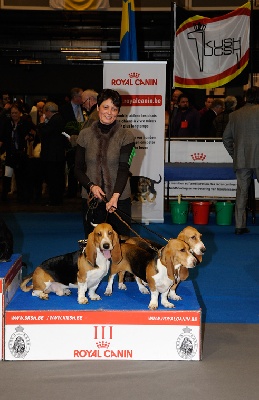 des Varennes du Val de Loire - Résultats Exposition CAC/CACIB de GENT (Belgique)