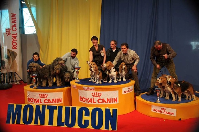 des Varennes du Val de Loire - CACS/CACIB de MONTLUCON (03)