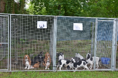 des Varennes du Val de Loire - Résultats Nationale Elevage et Spéciale de Race à Saint-Ambreuil (71)