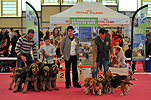 des Varennes du Val de Loire - Résultats Exposition CACIB de CHATEAUROUX 