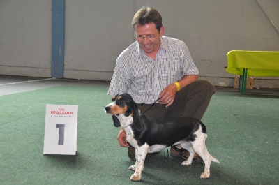 des Varennes du Val de Loire - Résultats exposition CACIB de Saarbrücken (Allemagne)