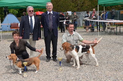 des Varennes du Val de Loire - Spéciale de Race LOUHANS CACS