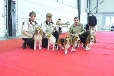 des Varennes du Val de Loire - Résultats Expostion CACS/CACIB d'ANGERS (49)