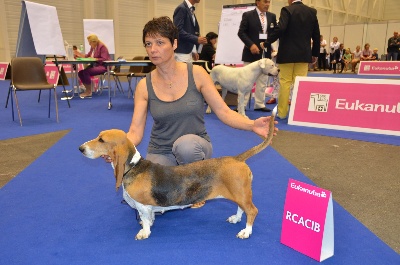 des Varennes du Val de Loire - FAÏNA .. Vice-Championne d'Europe